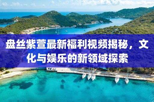 盤(pán)絲紫萱最新福利視頻揭秘，文化與娛樂(lè)的新領(lǐng)域探索