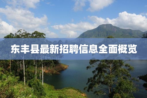 東豐縣最新招聘信息全面概覽