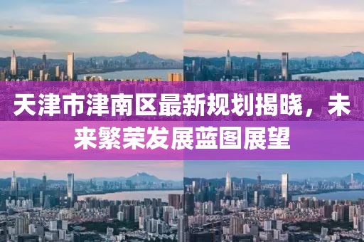 天津市津南區最新規劃揭曉，未來繁榮發展藍圖展望