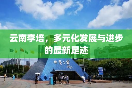 云南李培，多元化發展與進步的最新足跡