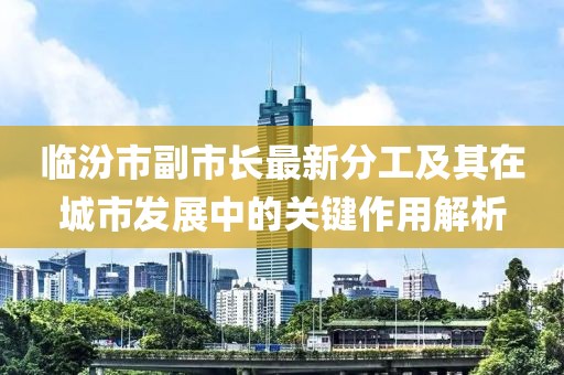 臨汾市副市長最新分工及其在城市發(fā)展中的關(guān)鍵作用解析