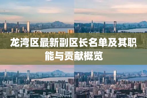 龍灣區(qū)最新副區(qū)長名單及其職能與貢獻概覽