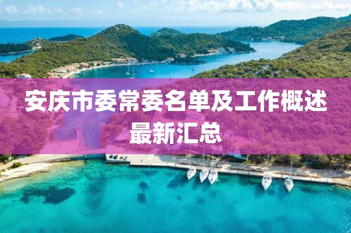 安慶市委常委名單及工作概述最新匯總