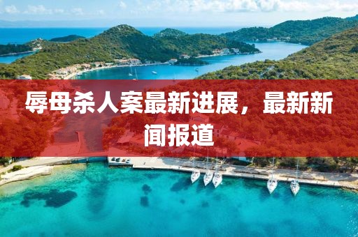 辱母殺人案最新進展，最新新聞報道