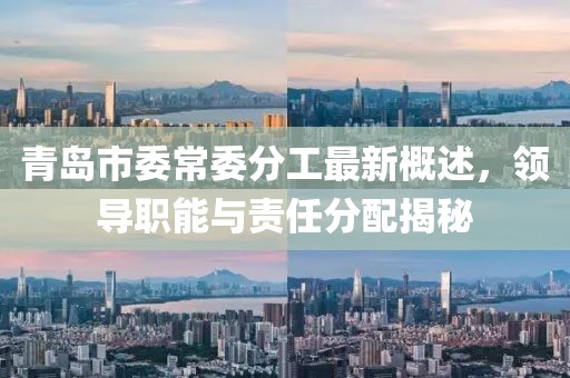 青島市委常委分工最新概述，領導職能與責任分配揭秘