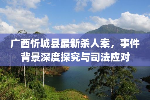 廣西忻城縣最新殺人案，事件背景深度探究與司法應對