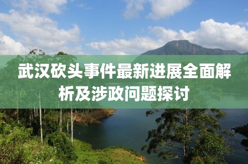 武漢砍頭事件最新進展全面解析及涉政問題探討