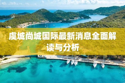 虞城尚城國際最新消息全面解讀與分析
