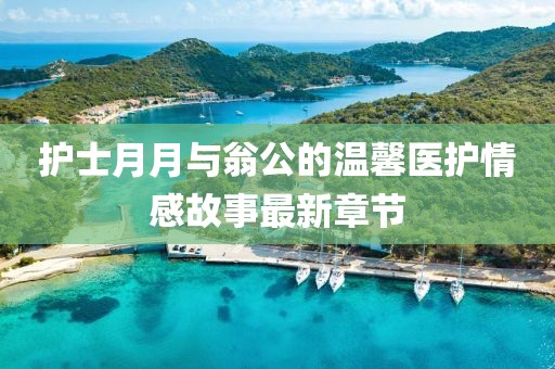 護士月月與翁公的溫馨醫護情感故事最新章節
