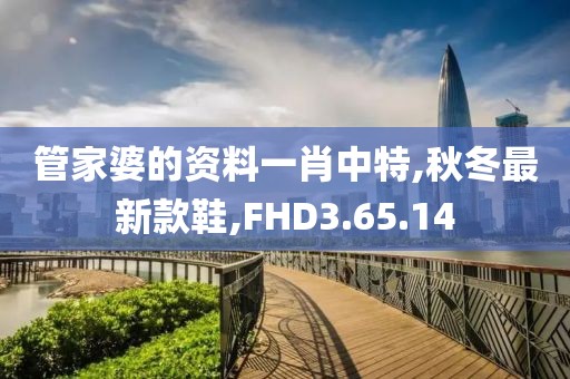 管家婆的資料一肖中特,秋冬最新款鞋,FHD3.65.14