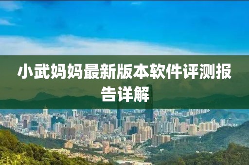 小武媽媽最新版本軟件評測報告詳解