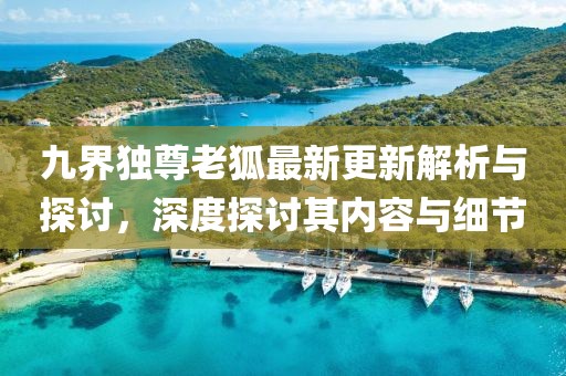 九界獨(dú)尊老狐最新更新解析與探討，深度探討其內(nèi)容與細(xì)節(jié)