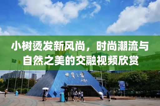 小樹燙發(fā)新風(fēng)尚，時(shí)尚潮流與自然之美的交融視頻欣賞