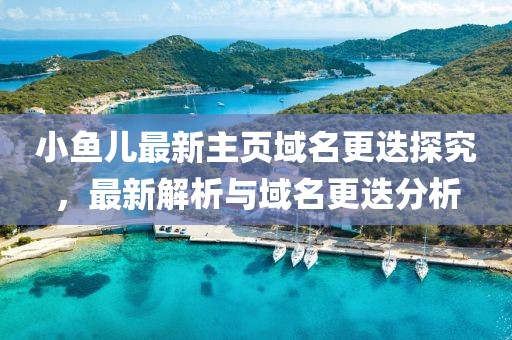小魚兒最新主頁域名更迭探究，最新解析與域名更迭分析