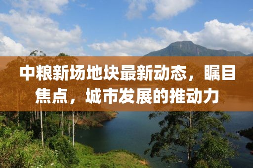 中糧新場地塊最新動態，矚目焦點，城市發展的推動力