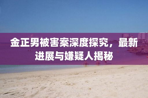 金正男被害案深度探究，最新進展與嫌疑人揭秘