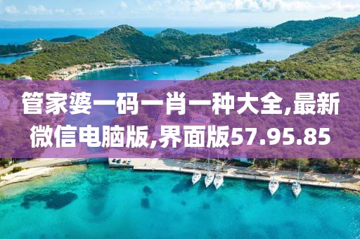 管家婆一碼一肖一種大全,最新微信電腦版,界面版57.95.85