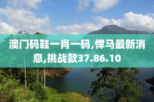 澳門碼鞋一肖一碼,悍馬最新消息,挑戰款37.86.10