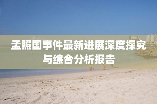 孟照國事件最新進展深度探究與綜合分析報告