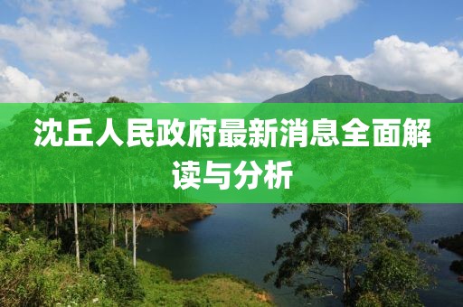 沈丘人民政府最新消息全面解讀與分析