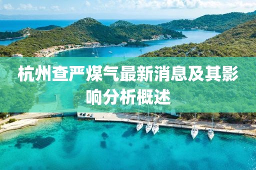杭州查嚴煤氣最新消息及其影響分析概述