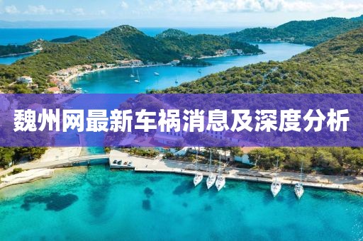 魏州網最新車禍消息及深度分析