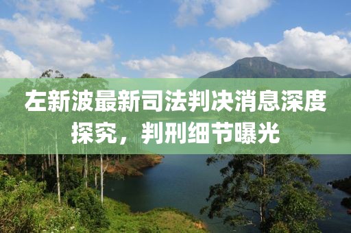 左新波最新司法判決消息深度探究，判刑細節曝光