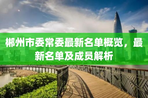 郴州市委常委最新名單概覽，最新名單及成員解析