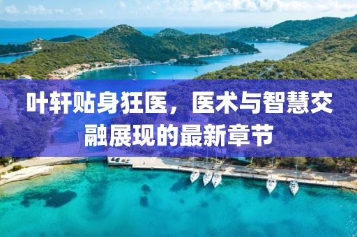 葉軒貼身狂醫，醫術與智慧交融展現的最新章節