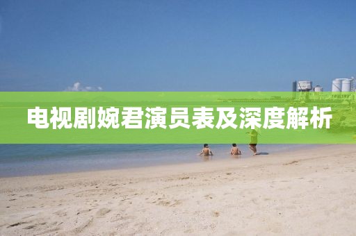 電視劇婉君演員表及深度解析