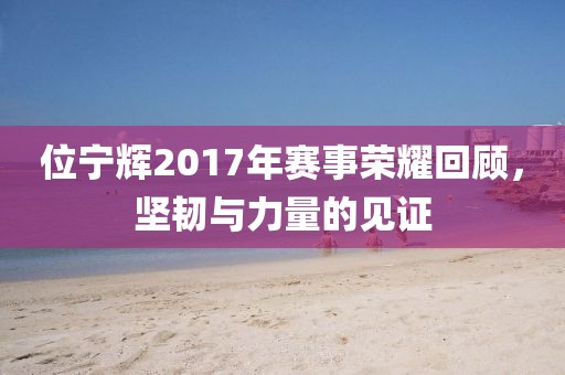 位寧輝2017年賽事榮耀回顧，堅(jiān)韌與力量的見(jiàn)證