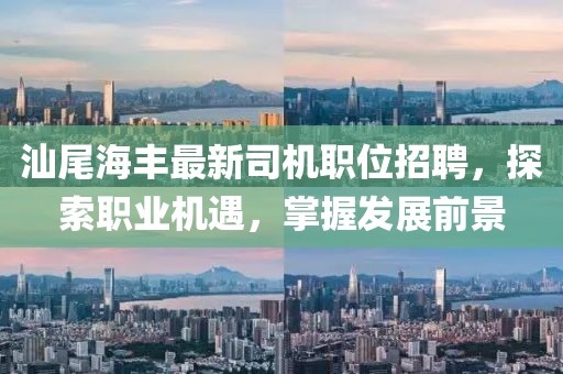 汕尾海豐最新司機(jī)職位招聘，探索職業(yè)機(jī)遇，掌握發(fā)展前景