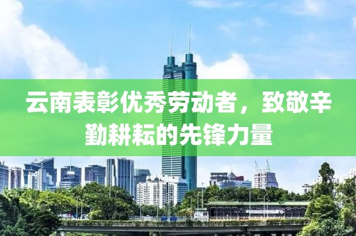 云南表彰優(yōu)秀勞動者，致敬辛勤耕耘的先鋒力量