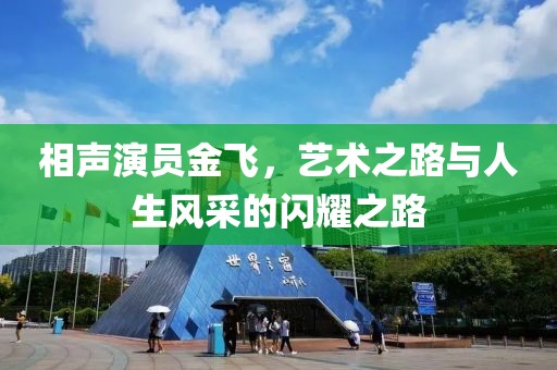 相聲演員金飛，藝術之路與人生風采的閃耀之路