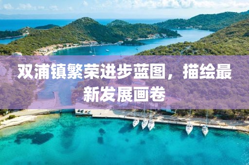 雙浦鎮繁榮進步藍圖，描繪最新發展畫卷