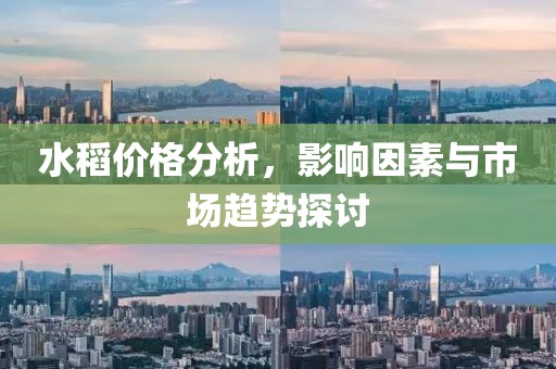 水稻價(jià)格分析，影響因素與市場(chǎng)趨勢(shì)探討