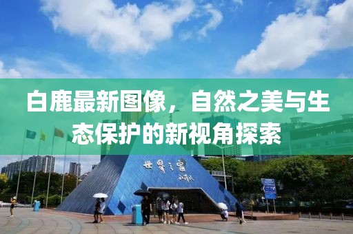 白鹿最新圖像，自然之美與生態保護的新視角探索