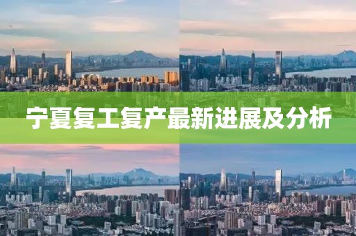 寧夏復工復產最新進展及分析