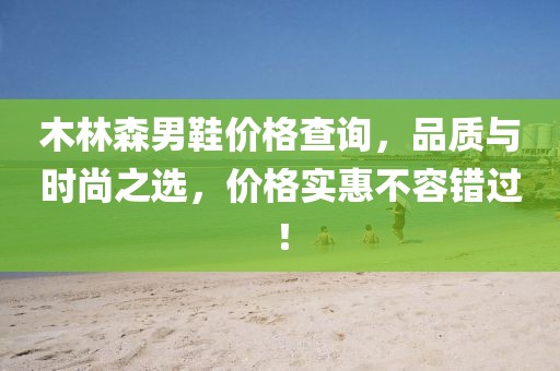 木林森男鞋價格查詢，品質與時尚之選，價格實惠不容錯過！