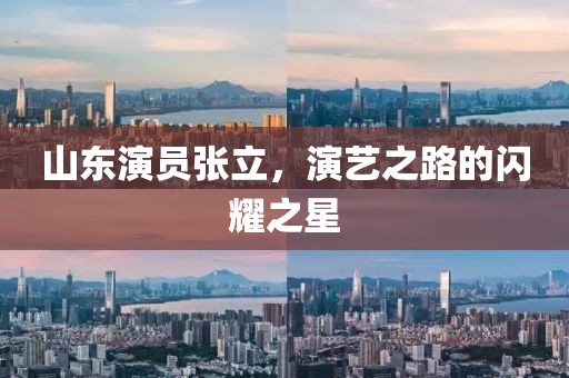 山東演員張立，演藝之路的閃耀之星