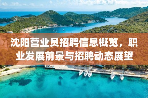 沈陽營業員招聘信息概覽，職業發展前景與招聘動態展望