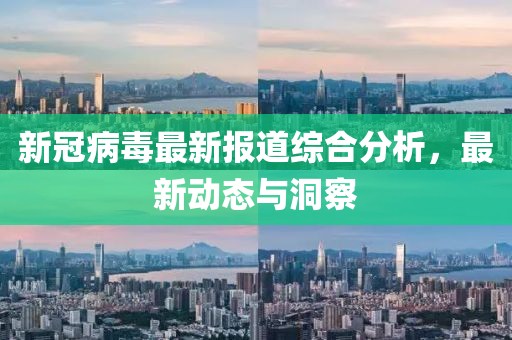 新冠病毒最新報道綜合分析，最新動態(tài)與洞察