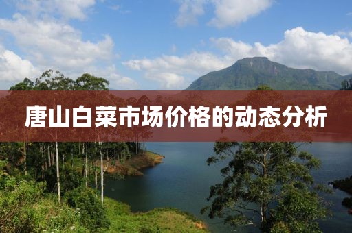 唐山白菜市場價格的動態分析
