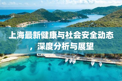 上海最新健康與社會安全動態，深度分析與展望