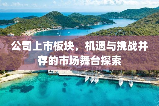 公司上市板塊，機遇與挑戰(zhàn)并存的市場舞臺探索