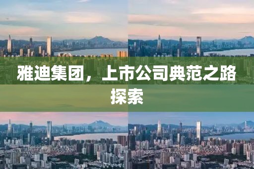 雅迪集團(tuán)，上市公司典范之路探索