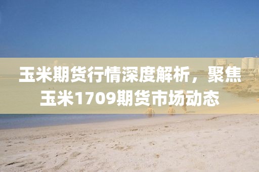 玉米期貨行情深度解析，聚焦玉米1709期貨市場動態
