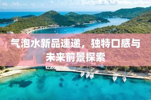 氣泡水新品速遞，獨特口感與未來前景探索