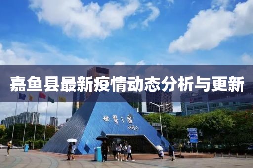 嘉魚縣最新疫情動態(tài)分析與更新