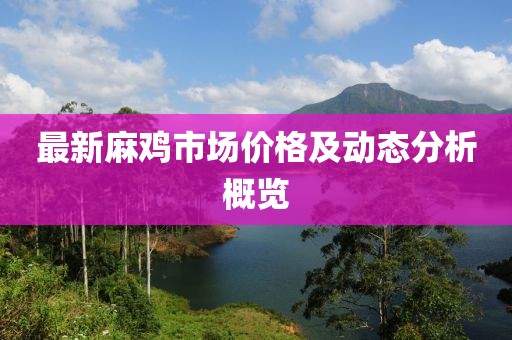 最新麻雞市場價格及動態分析概覽